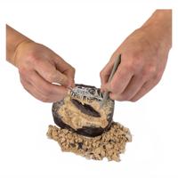Boti National geographic dinosaurus graaf set