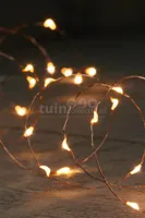 Draadverlichting Koper 20 LED 1m CW