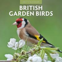 British Garden Birds Kalender 2027