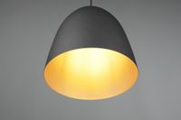 TRIO TILDA – R30661080 plafondverlichting Zwart, Goud E27 - thumbnail