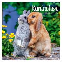 Konijnen Kalender 2026