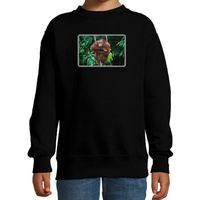 Dieren sweater / trui met Orang Oetan apen foto zwart voor kinderen