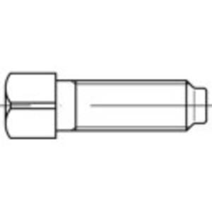 TOOLCRAFT TO-5381538 Vierkantbouten M20 100 mm Vierkant DIN 479 Staal 10 stuk(s)