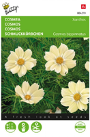 Zaden cosmos cosmea xanthos 10 zaden - Buzzy