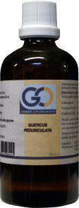 GO Quercus pedunculata bio