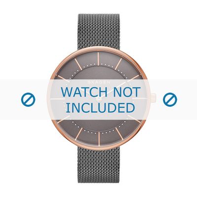 Skagen horlogeband SKW2584 Staal Grijs 16mm