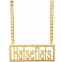 Verkleed sieraden ketting - thema Hatseflats - feestartikelen - goudkleurig