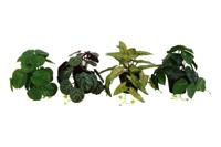 Countryfield Kunstplant hang H20cm