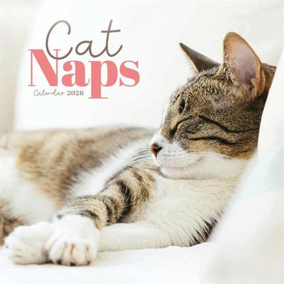 Cat Naps Mini Kalender 2026