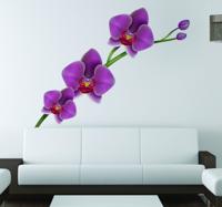 Orchidee Muursticker