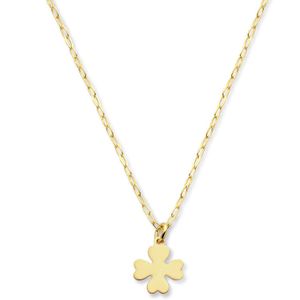Ketting Klaver zilver goudkleurig 41-45 cm