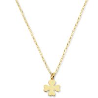 Ketting Klaver zilver goudkleurig 41-45 cm
