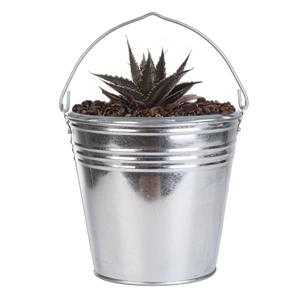 Plantenpot/bloempot emmer voor buiten - zink - zilver - D29 x H25 cm