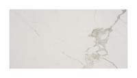 Vloer-/wandtegel marmerlook Cerim Timeless 120x60cm calacatta glans gerectificeerd