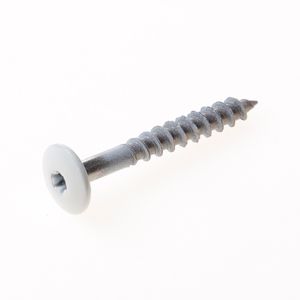 Kleurkopschroef rvs wit ral9010 4,8x38 t20