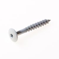 Kleurkopschroef rvs wit ral9010 4,8x38 t20