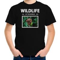 Orang oetan aap foto t-shirt zwart voor kinderen - wildlife of the world cadeau shirt Orang oetans liefhebber XL (158-164)  - - thumbnail