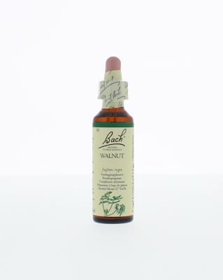 Walnut/walnoot 20 Milliliter