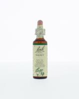 Walnut/walnoot 20 Milliliter