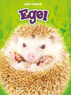 Egel (Hardback)