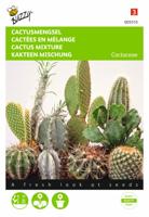 Cactus All Round Mengsel - Buzzy