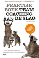 Praktijkboek Teamcoaching, aan de slag (Paperback)