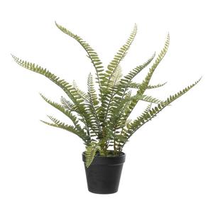 Louis Maes Kunstplant - Varen Nephrolepis - Groen - 50 cm   -