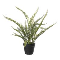 Louis Maes Kunstplant - Varen Nephrolepis - Groen - 50 cm   -