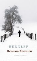 Hersenschimmen - Bernlef - ebook