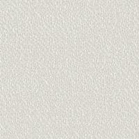 Dutch Wallcoverings Santa Fé Natures Weave Off - White