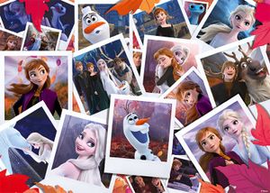 Premium Collection Disney Pix Collection - Frozen 2 1000 stukjes