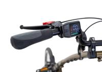 Pfautec elektrische shoppingfiets "scootertrike fm" (#1)