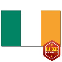 Feestartikelen Luxe vlag Ierland