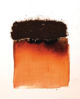 Powertex • bister poeder 30g acajou