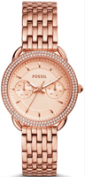 Horlogeband Fossil ES4055 Roestvrij staal (RVS) Rosé 16mm