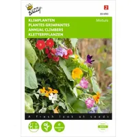 Klimplanten Mengsel