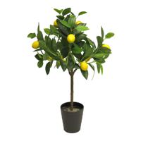 Bellatio design Kunst citrus boom in pot -  citroen - 70 cm - kunstplant - voor binnen
