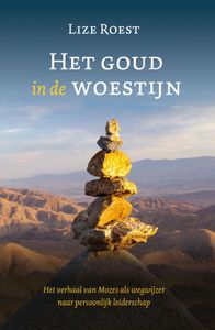 Het goud in de woestijn - Lize Roest - ebook