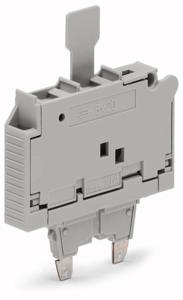 Wago 2006-911/1000-541 montagedoosaccessoire Zekeringplug