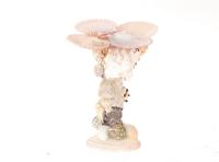 Kandelaar Schelp Gallery H16cm
