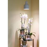 Venso Lampenscherm Saga 22 cm 230 V E27 18 W 1 stuk(s)