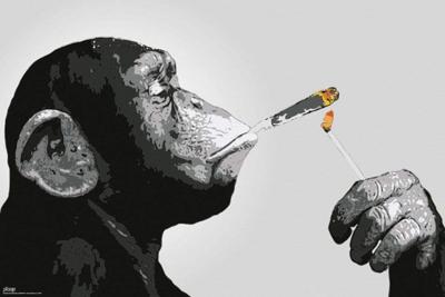 Poster Steez Smoking 91,5x61cm