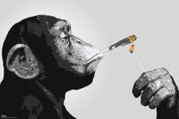 Poster Steez Smoking 91,5x61cm