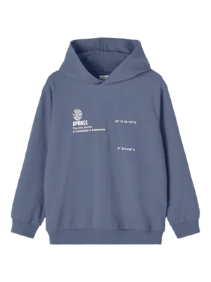 Name It Delix Hoodie