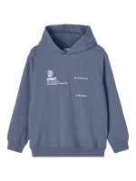 Name It Delix Hoodie