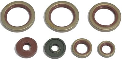 ATHENA motor-keerring set motorshield 690, 08-,