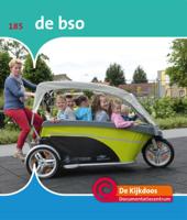 De bso (Hardback)