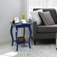 Set van 2 Nachtkastjes Accent Tafels met Elegante Gebogen Poten 2 Niveaus Bijzettafel van Hout Laptoptafel Banktafel 40 x 40 x 60 cm