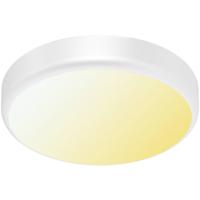 LED Plafondlamp met Sensor + Dag en Nacht Sensor - Brinton Gruna - 20W 2000lm - Aanpasbare Lichtkleur CCT - IP54 - Opbouw - Rond - Wit