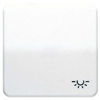 CD 590 L PT  - Cover plate for switch/push button CD 590 L PT - thumbnail